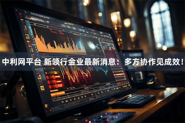 中利网平台 新领行金业最新消息：多方协作见成效！