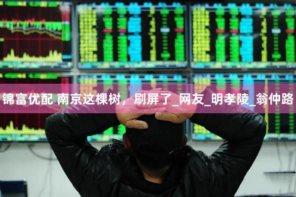 锦富优配 南京这棵树，刷屏了_网友_明孝陵_翁仲路