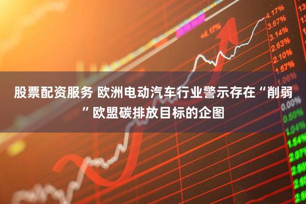 股票配资服务 欧洲电动汽车行业警示存在“削弱”欧盟碳排放目标的企图